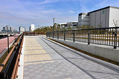 水際緑地整備（東京都）使用製品：遮熱性平板