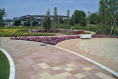 鴻巣市花久の里(埼玉県)使用製品:透水性平板