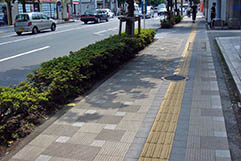 桑並木通リ(東京都)使用製品:透水性平板