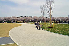 権現堂公園（埼玉県）　太平洋プレコン工業　オーシャンペブルスルー　洗出平板