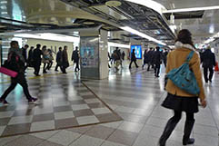 梅田駅(大阪府)使用製品:研磨平板
