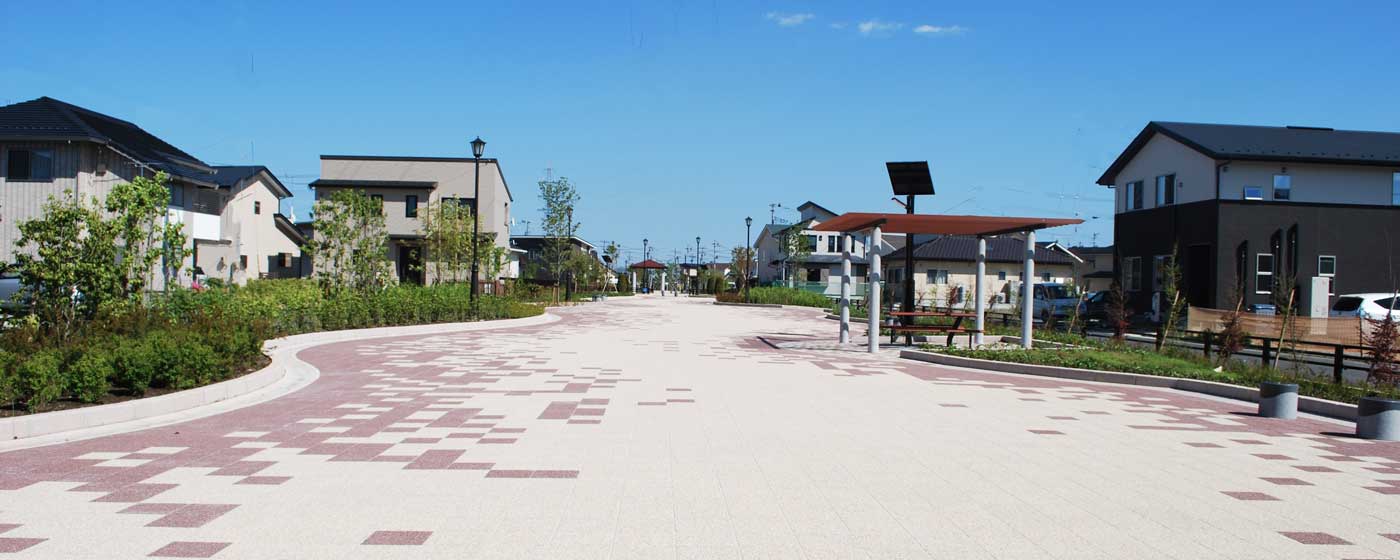 宮城県新蛇田地区